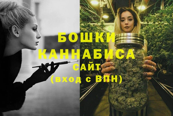 сатива Баксан