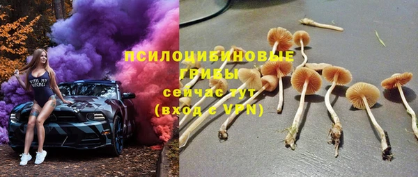 сатива Баксан