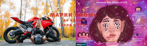 сатива Баксан