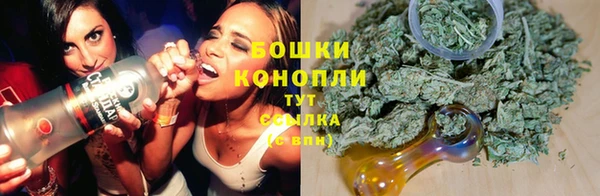 ГАЛЛЮЦИНОГЕННЫЕ ГРИБЫ Белоозёрский